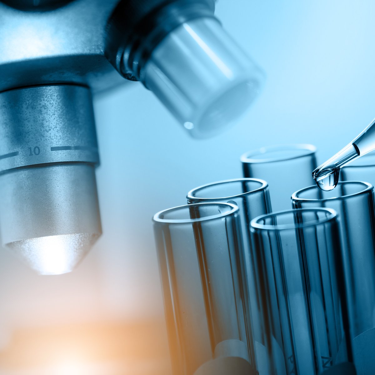 🎉 ¡Ya tenemos ganadores  de los premios Santander X Award 2025 que reconocen la capacidad  emprendedora del personal investigador del CSIC!

🔬 10 proyectos emprendedores con soluciones científicas aplicables al mercado
 🏢 4 startups CSIC en fase de aceleración y con base