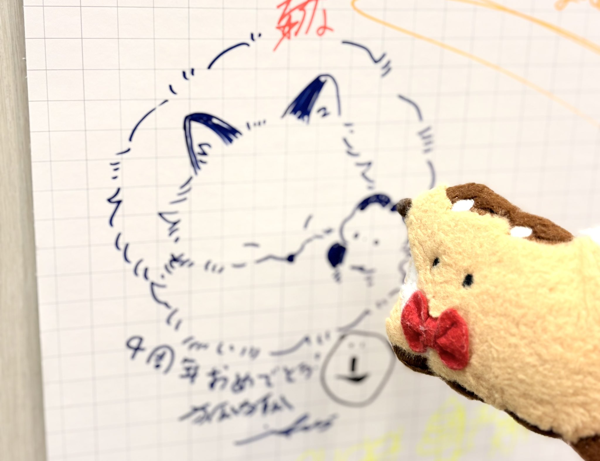 狐狐🦊🦊ガチャガチャと新宿ハンズ出展中！ (@yoshiyoshifox) / X