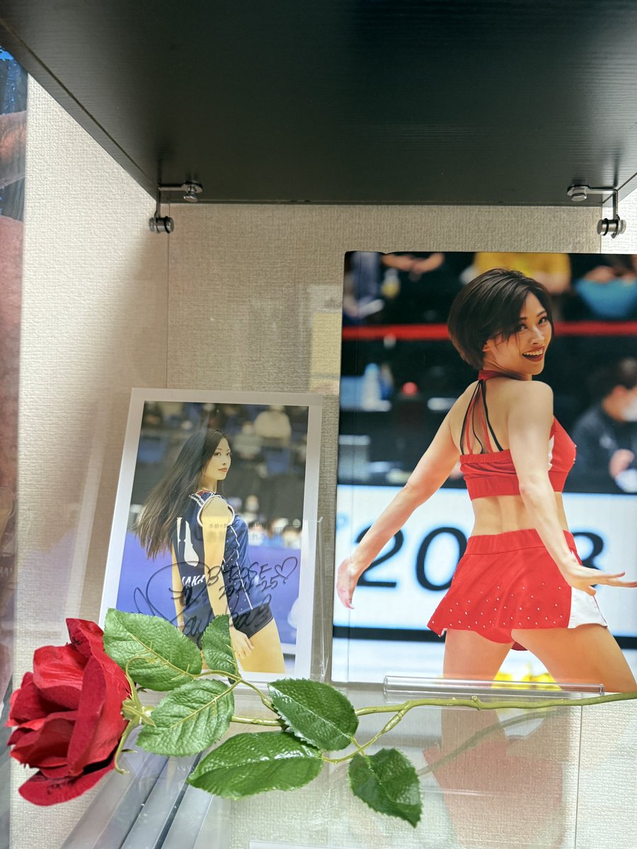 カメリア海賊🌹 tweet media