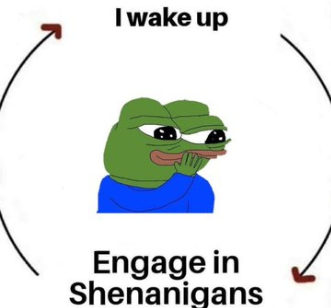djoey44's tweet image. Gm frens🐸