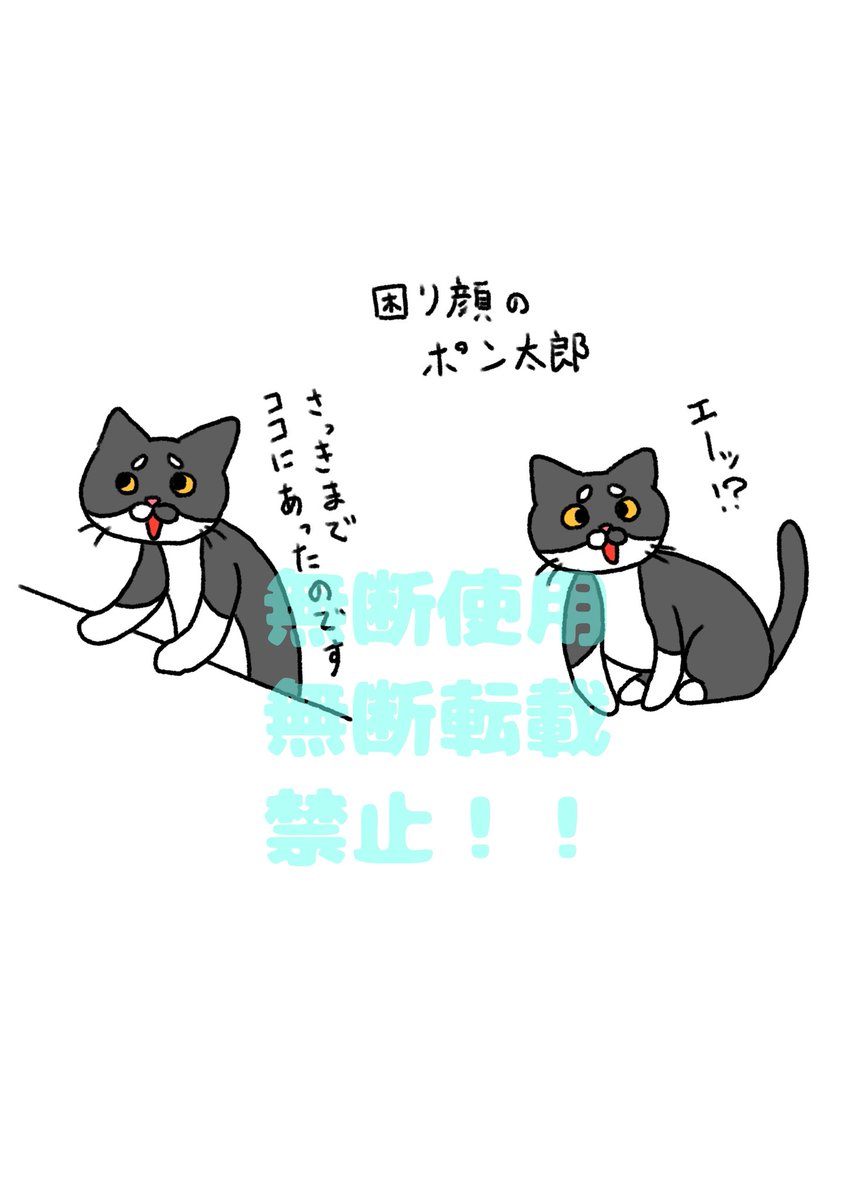 3nomarusan's tweet photo. 新キャラクターができました☺

#困り���のポン太郎　#猫　#猫イラスト https://t.co/YF1WTbO6Te
