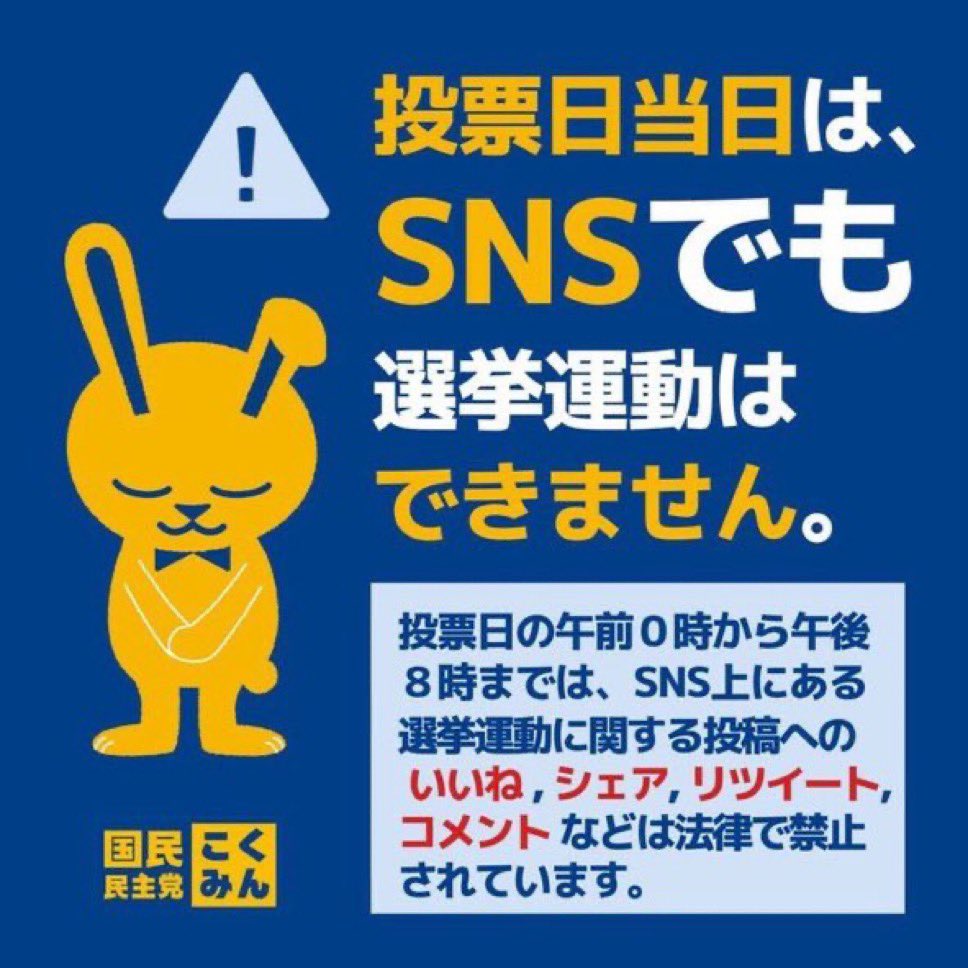 明日の23:59分まで皆さん必死に投稿されてこれに気づく余裕がないかもなので今のうちに注意喚起を🙇🏻‍♂️

特に垢名に候補者の名前入れて応援してる人は無関係の投稿すらできませんのでご注意を🥹

#手取りを増やす夏 
#比例は略さず国民民主党