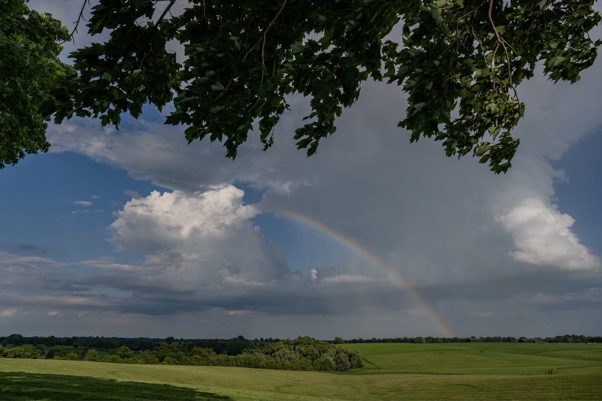 claibornefarm's tweet image. Couldn’t find the pot of gold, but a @KentuckyDerby and/or Oaks winner out of that field would work just fine! 🌈 ⚱️🏇
📸 @framesonmain