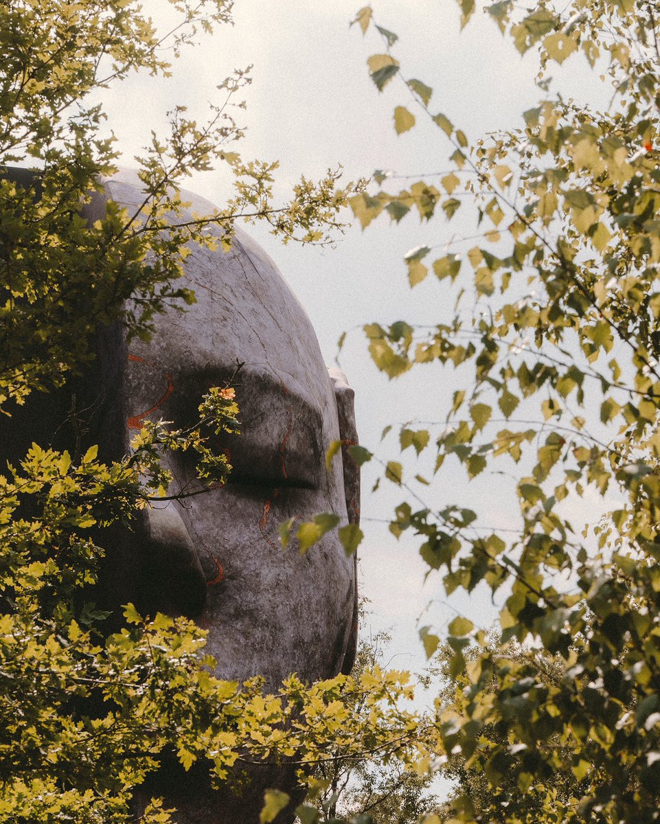 Tomorrowland tweet media