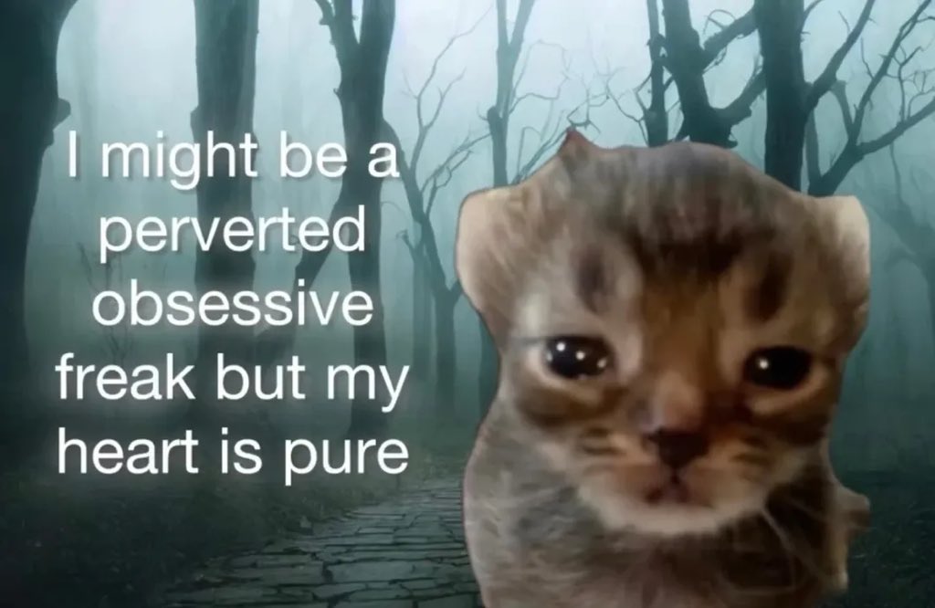 More Cats (@evenmorecats) on Twitter photo 