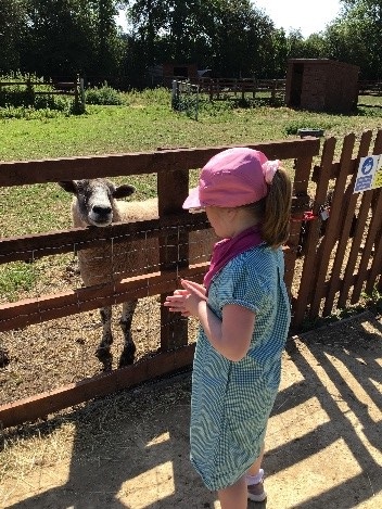 1F have enjoyed a trip to Spencer’s Retreat Farm as an end of year trip. Everyone had a great time, even though it was very hot. We cooled down in the paddling pool when we got back.