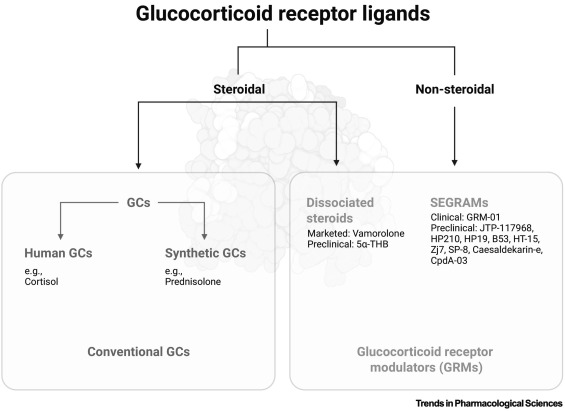 TrendsinPharma's tweet image. Design and development of glucocorticoid receptor modulators dlvr.it/TLzt2T