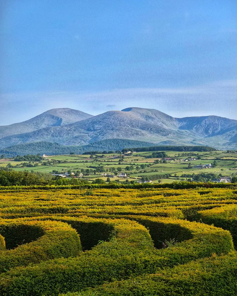 Castlewellan Forest Park, a solo una hora en coche al sur de Belfast, es un remanso de tranquilidad en el Condado de Down que tiene algo para todos. Perfecto para un día relajado en plena naturaleza.

📍Castlewellan Forest Park, Condado de Down
📸instagram.com/the_little_gal…