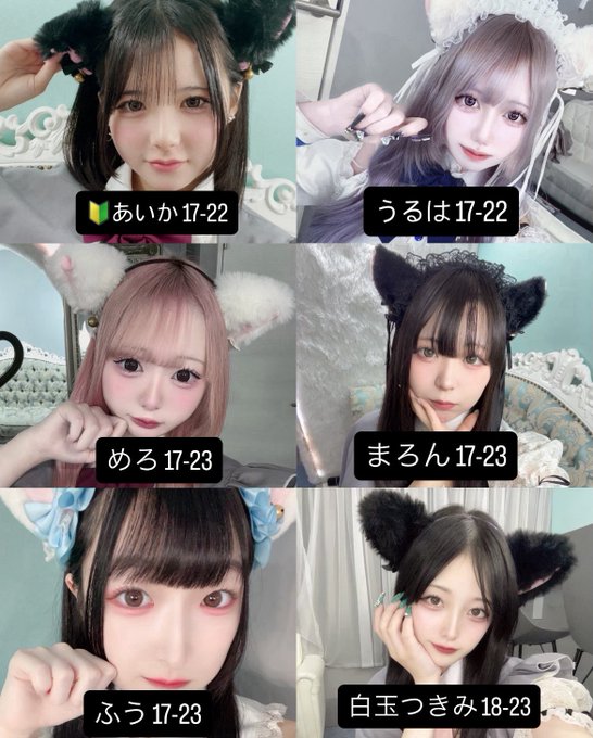 🐾にゃんとぴあ🐾(ねこぴ)のツイート