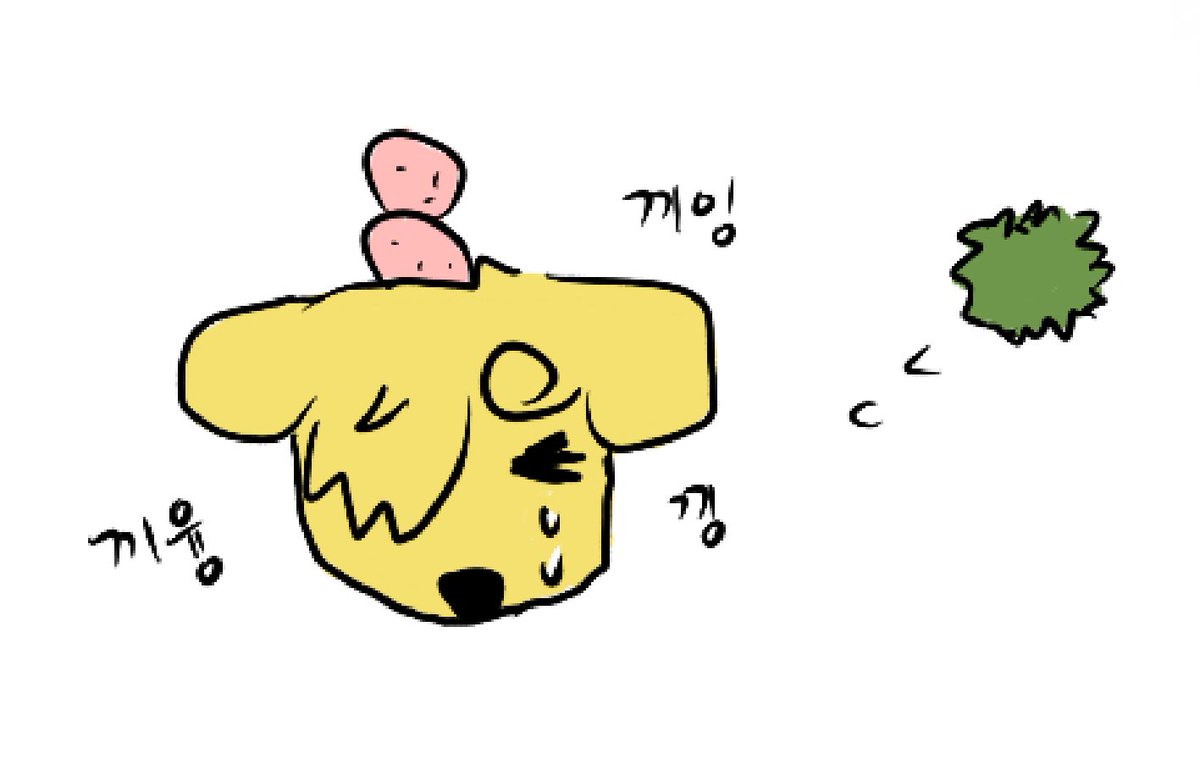 청연 (@cheongyeon_op) on Twitter photo 