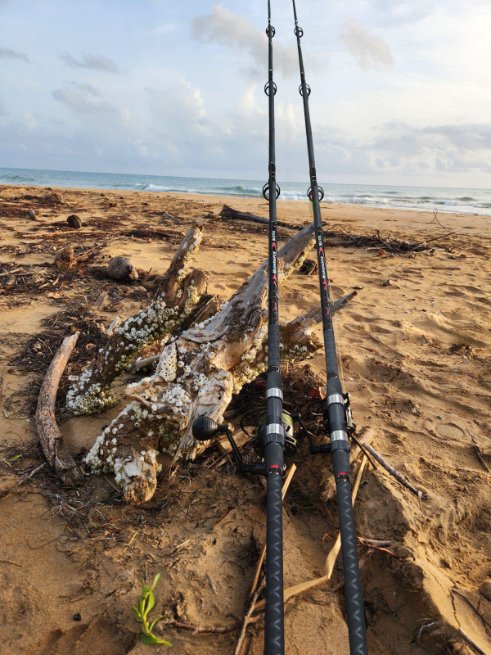 buyersea's tweet photo. Moonsniper Surf Fishing Rod!
https://t.co/FeAqaMbGFD
#fiblink #moonsniper #moonsnipersurf #fishing #surffishing #surfrod #surfspinning #sandyfish #rockybeach https://t.co/8jnUIhwcTn