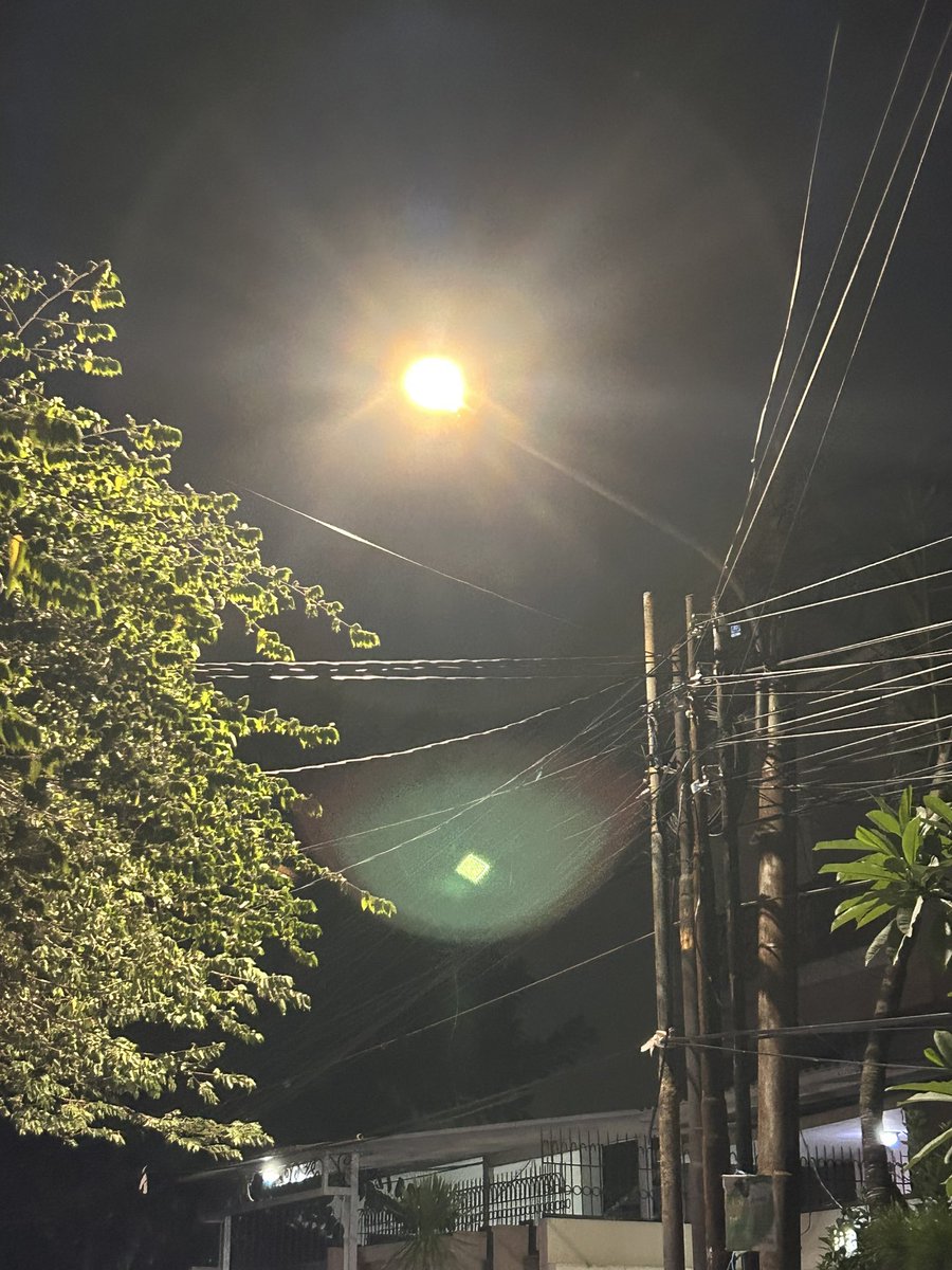 ん•༊*·˚ tweet media