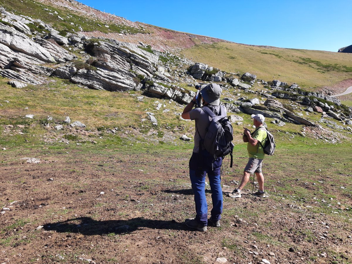 Atudem_es's tweet photo. Todos los jueves de julio y agosto: rutas guiadas en @Alto_Campoo para conocer las aves alpinas y los hábitats de alta montaña.

- Actividad gratuita
- De 9.30 h a 12.30 h

¿Te apuntas? 

#ATUDEM #Verano https://t.co/UFsswkM1TR