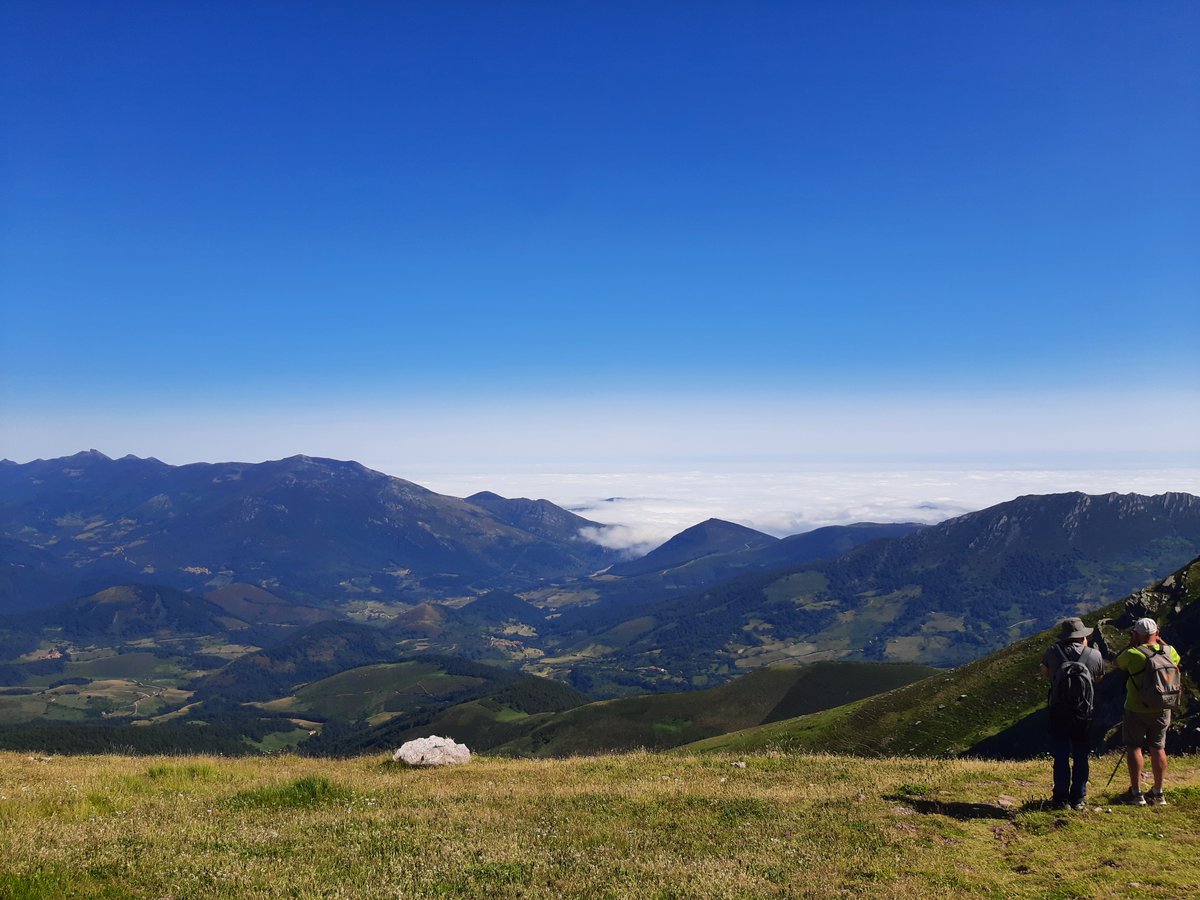Atudem_es's tweet photo. Todos los jueves de julio y agosto: rutas guiadas en @Alto_Campoo para conocer las aves alpinas y los hábitats de alta montaña.

- Actividad gratuita
- De 9.30 h a 12.30 h

¿Te apuntas? 

#ATUDEM #Verano https://t.co/UFsswkM1TR