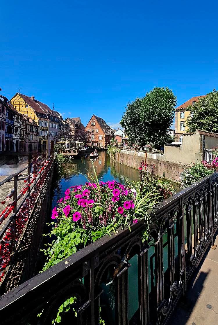 Bonjour les terriens le weekend approche, profitez bien de cette journée du vendredi que je vous souhaite radieuse bisous 😘 bisous à tous #colmar en #Mode #Zen