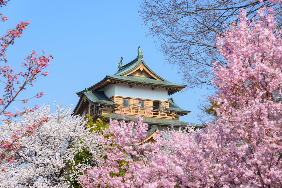 Let’s explore #Japan through its ancient culinary traditions 🌱

Join renowned vegan chef Miyoko Schinner on this unique tour and discover ancient tea farms, geisha districts, and more — together!

🗓 March 20–29, 2026
📩 Book now: en.tours.japantravel.com/tours/packages…