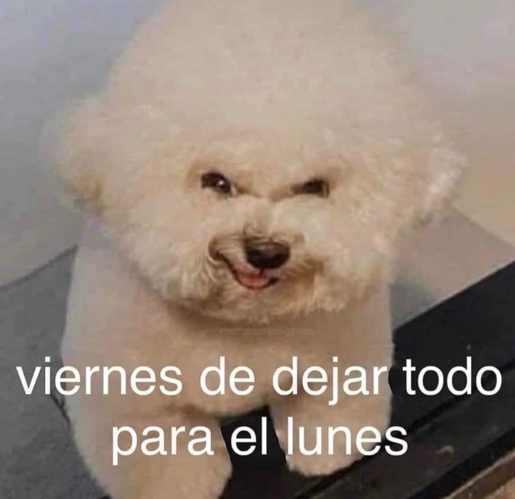 DIA_Esp's tweet image. Buenos Dias!!!