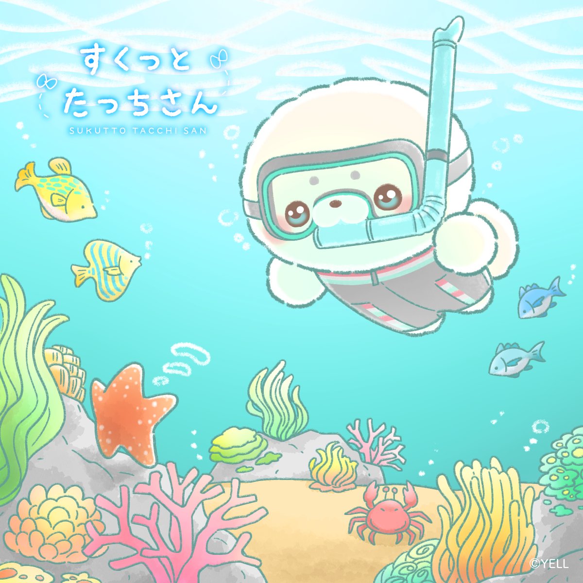SukuttoTatchsan's tweet image. 7がつ21にち📆は💡
#海の日
あざらしさんたっち🦭
『しゅのーける🤿』コポポ
うみ🏝️の🏖️なか🌊️⚓️
とっても🌈からふる🎨✨
ひとでさん🌟こんにちは☆彡だよ~💗キュ🧊