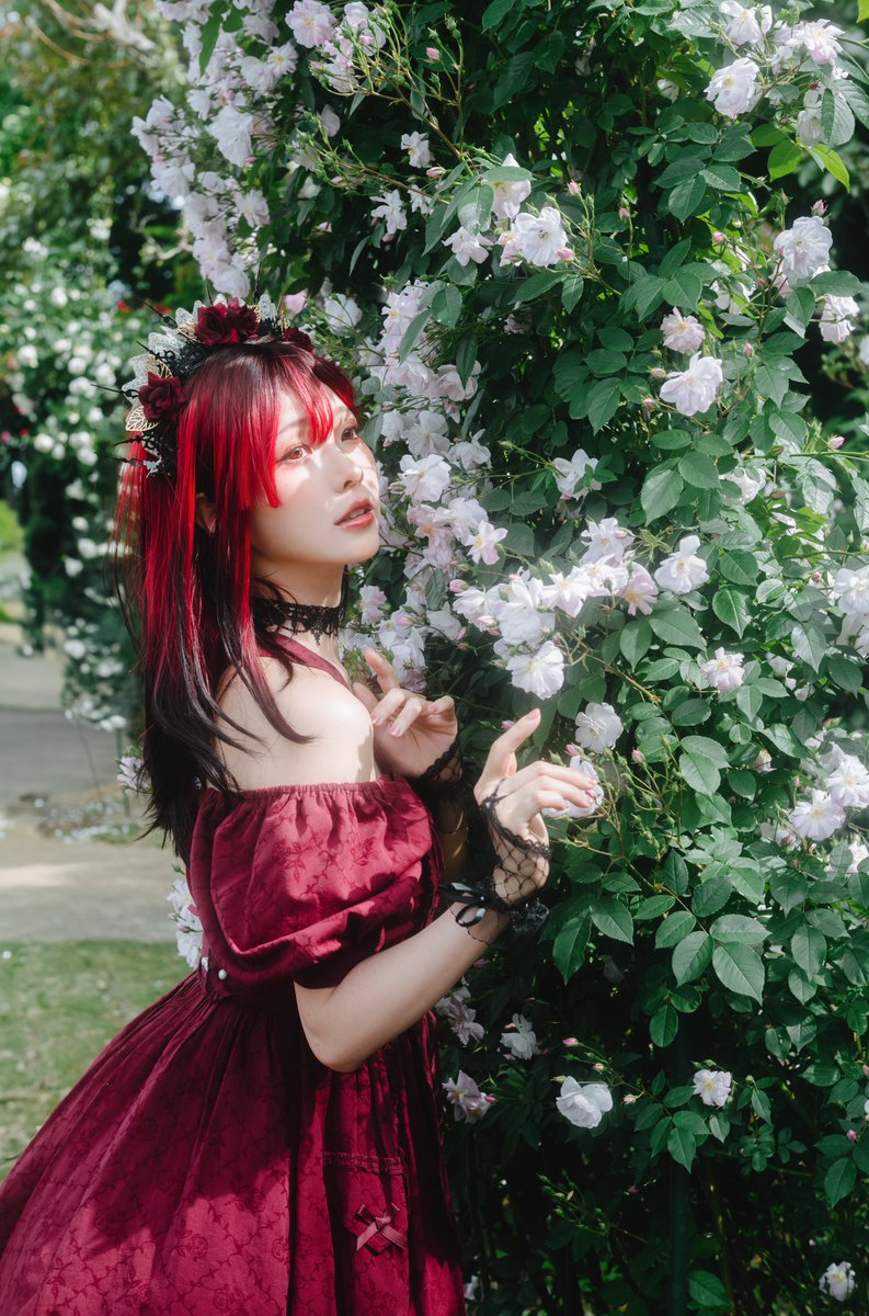 𝐷𝑎𝑤𝑛𝑙𝑖𝑡 𝑅𝑜𝑠𝑒🌹