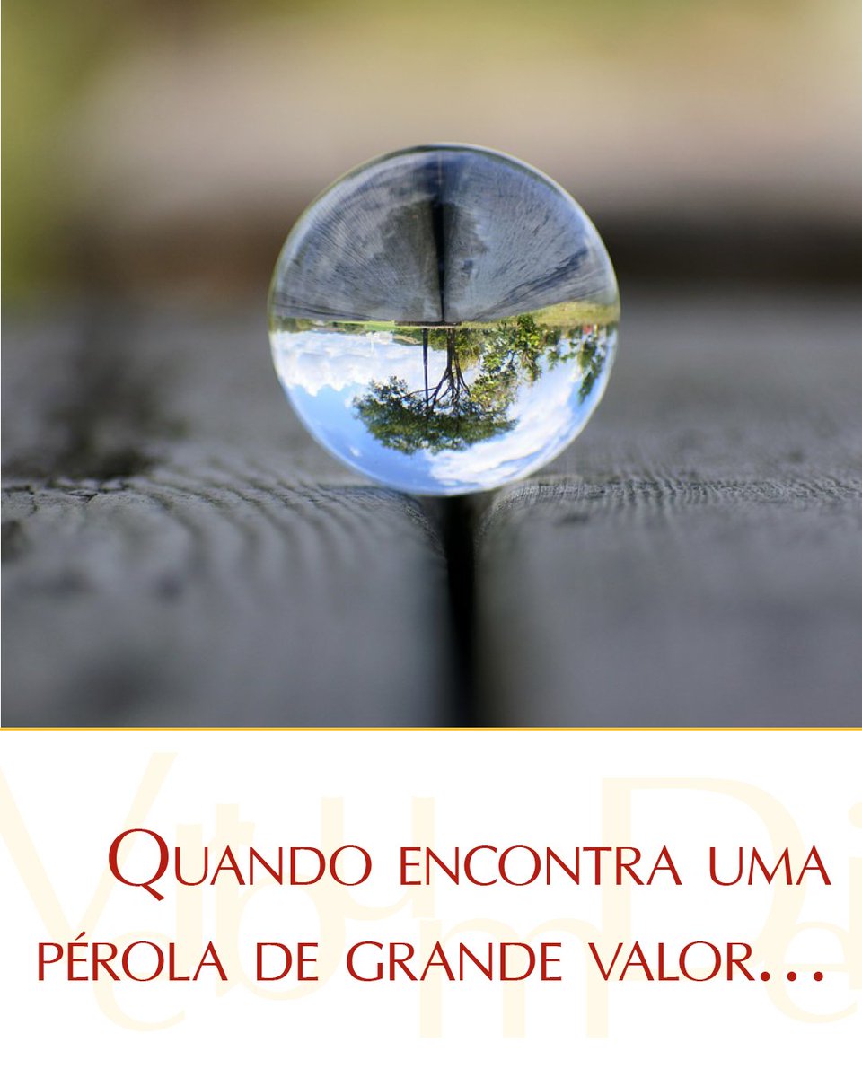 vaticannews_pt tweet picture