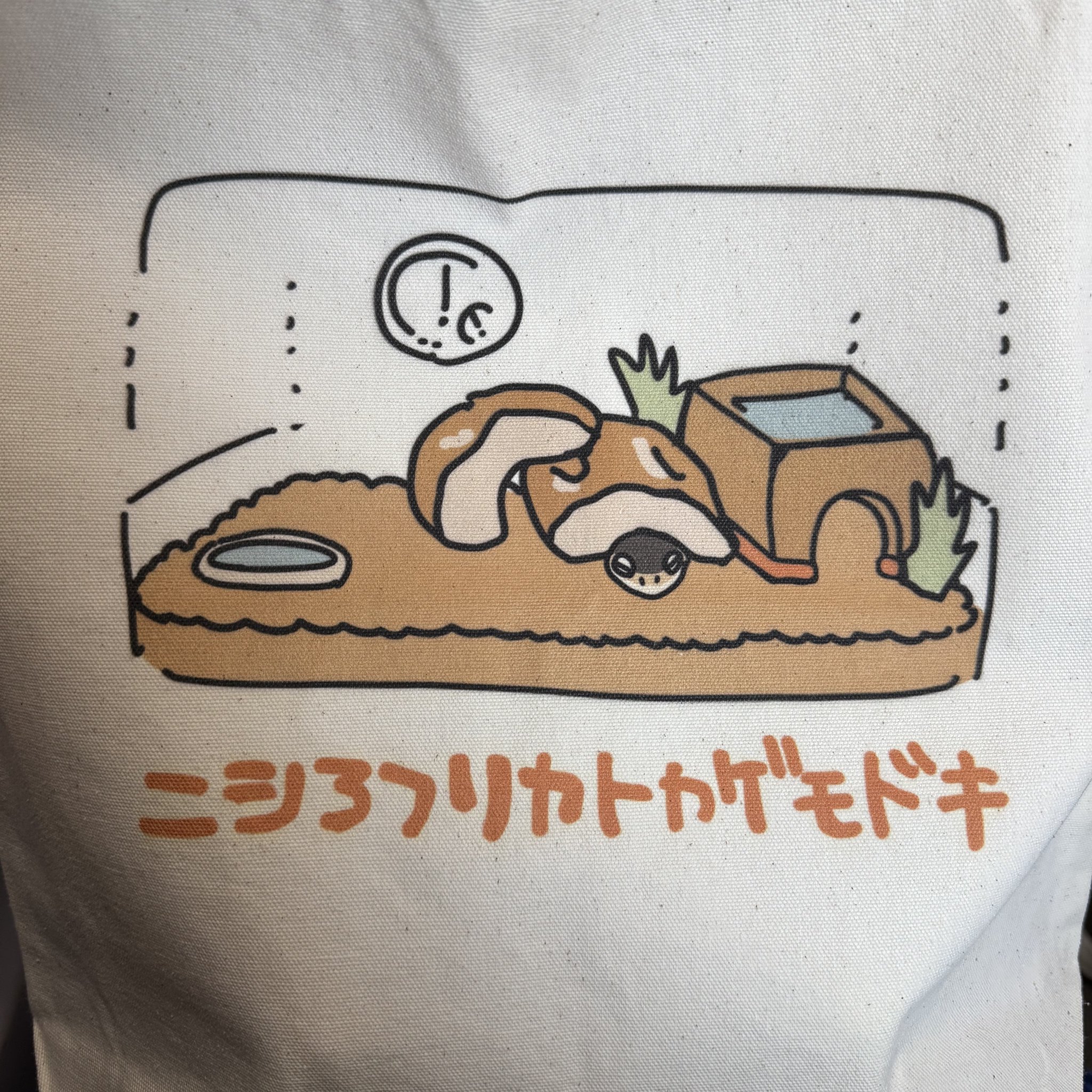 あさり様♡ありがとうございます♡ あさり🦎🍎🍏 on X: 
