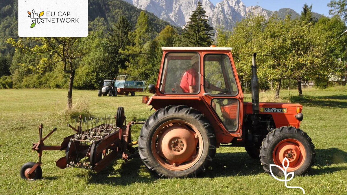 eucapnetwork's tweet image. Are you curious about possible solutions to the economic challenges faced by farm businesses?
From smart legislation and financial support to risk-mitigation tools and cooperative investments, this briefing showcases real examples from Member States🌾
🌐 kont.ly/25a41750
