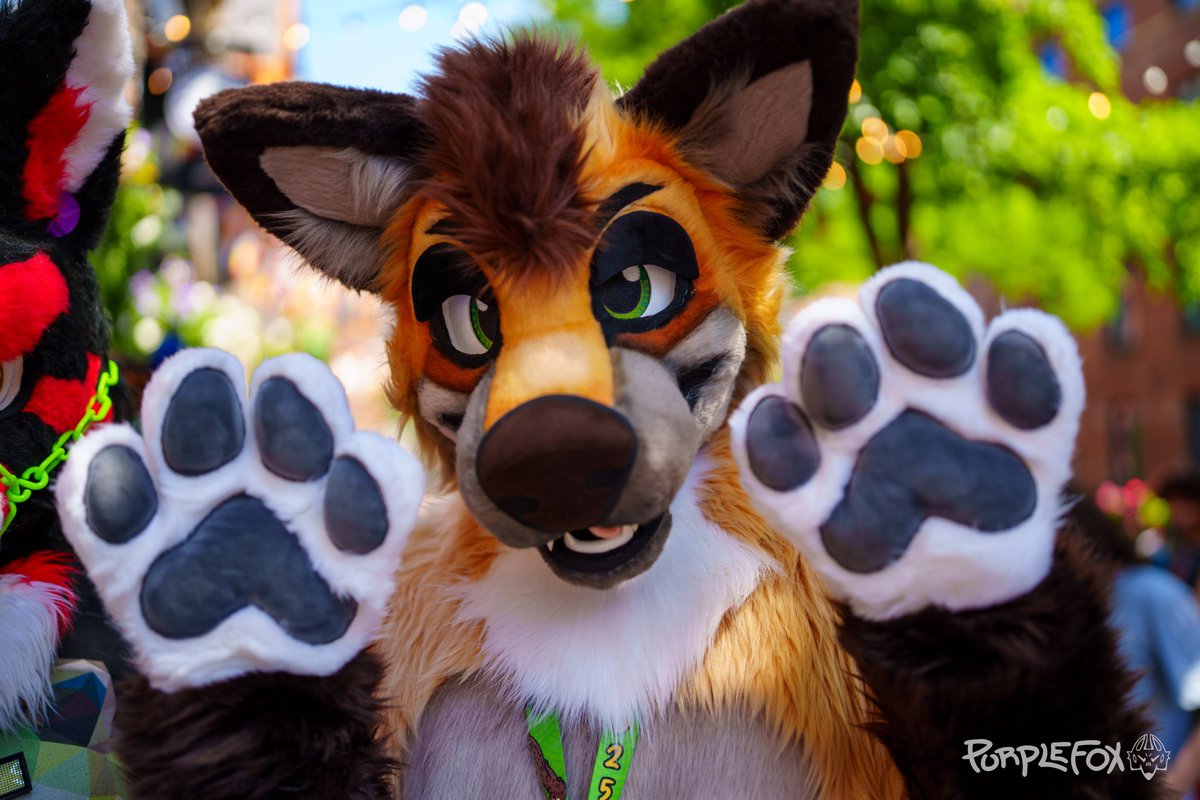 Paws! That is all!

Photo from the most recent <a href="/MancFurs/">MancFurs</a> meet
📸 <a href="/PurpleFoxCosmo/">Cosmo</a> 
🪡 <a href="/JawsNpawsUK/">JawsandPaws_UK</a> 

#FursuitFriday