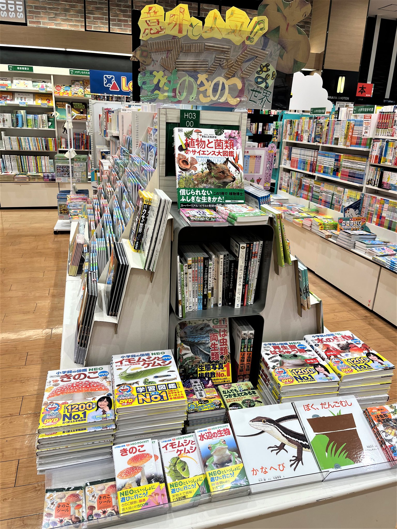 maki★ 絵本　15冊　まとめ売り　ほぼ未読品　福音館書店　偕成社　など 福音館書店 初の直営オンラインストア 2025年4月22日(火