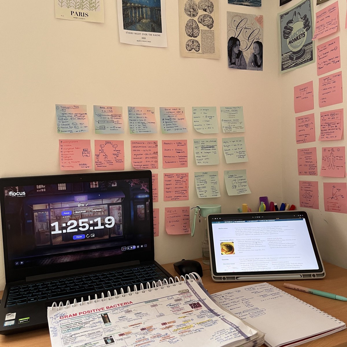 hershey_studies's tweet image. I love microbiology so much rn
#studytwt