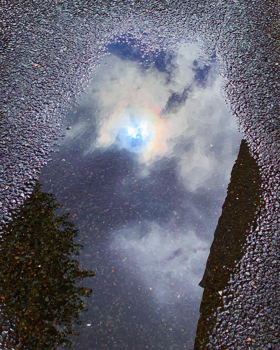 雨上がり、映った太陽が虹みたい🪞