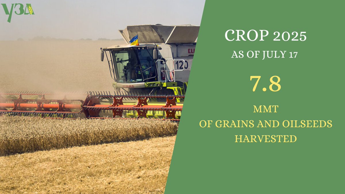 UkrGrain's tweet image. UA harvesting campaign in progress 馃殰. As of July 17, 2025 producers harvested 7.8 MMT of grains and oilseeds:
Wheat - 4.7 MMT
Barley - 2.2 MMT
Rapeseeds - 614 kMT