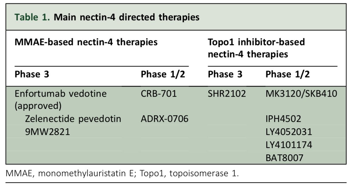 medoncodoc's tweet image. 🧪 Bulumtatug Fuvedotin (BFv): A Promising Nectin-4 Targeted ADC in Solid Tumors
🔍 Study Highlights:
•First-in-human, multi-phase trial of bulumtatug fuvedotin (BFv), a Nectin-4–targeting ADC delivering MMAE, in patients with advanced solid tumors (N=274).
•Included patients…