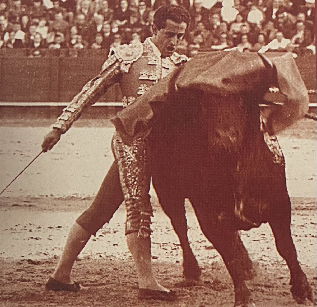 CTSevilla24's tweet image. Hoy cumple 87 años “Su Majestad”.
Felicidades, maestro.