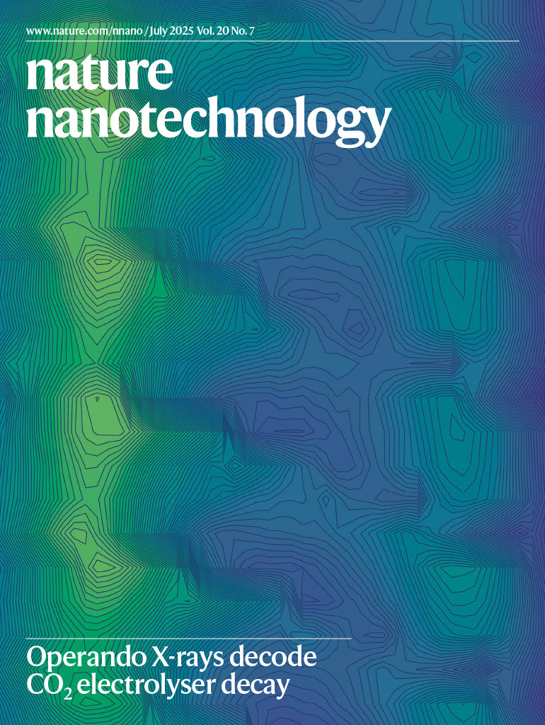 NatureNano's tweet image. In our July 2025 issue, we cover
- Operando X-rays for CO2 electrolysers.
- High-fidelity spin shuttling in Si.
- Twisted light with polar topology.
- Programmable nanoreactors.
- Nanoparticle corona ligands.
- Oral gene editing nanoparticles & more.
nature.com/nnano/volumes/…