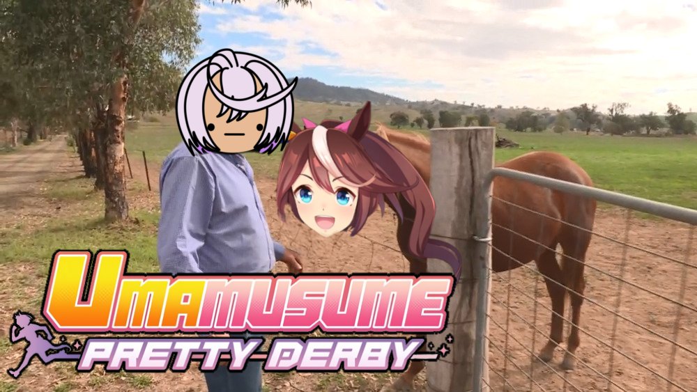 SaJi_VT's tweet photo. Thumbnails for this past weeks streams. You wouldn't believe me if I told you that these horse girls are serious business 🐴 https://t.co/ZtpfvwQEpF