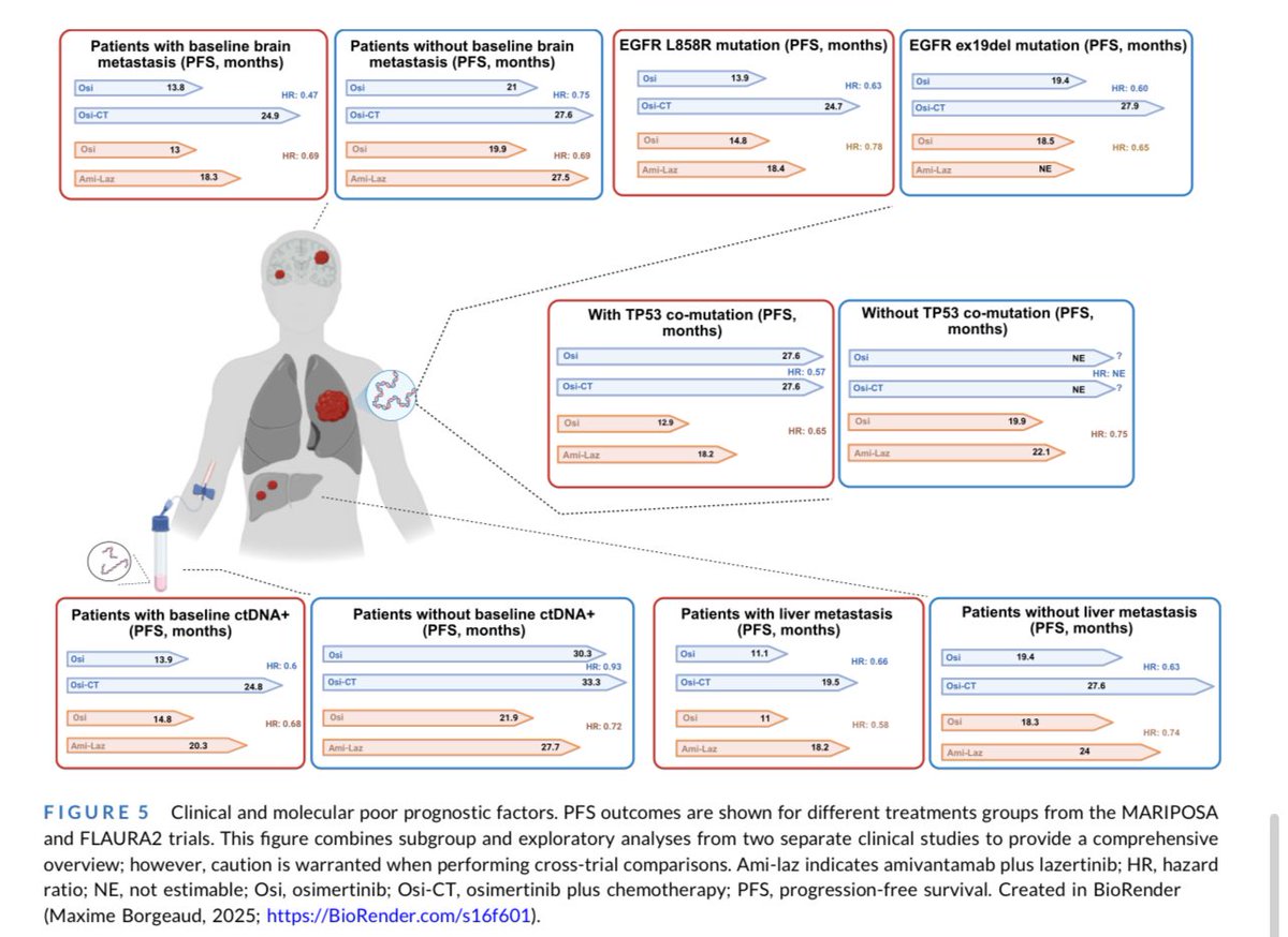 medoncodoc's tweet image. EGFR-mutant NSCLC: Evolving Landscape 🧬💊
Targeted EGFR TKIs have transformed NSCLC care, now used from early to metastatic stages. 🫁
While combinations improve PFS, they raise toxicity and cost—making biomarker-driven patient selection essential.
New insights into…