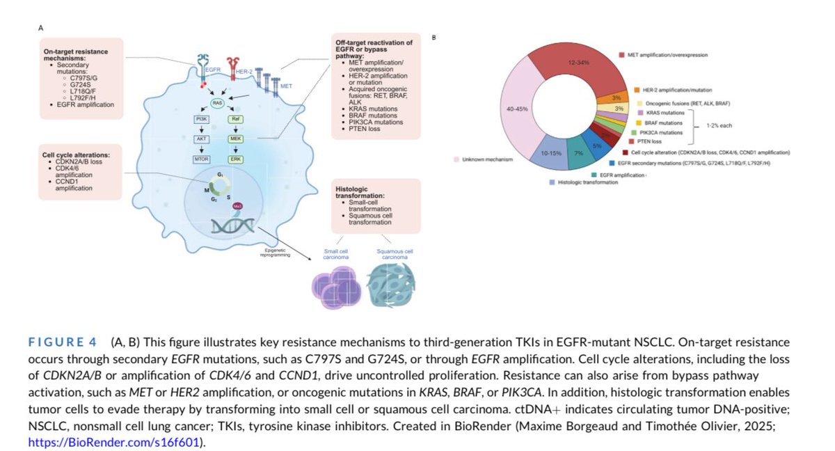 medoncodoc's tweet image. EGFR-mutant NSCLC: Evolving Landscape 🧬💊
Targeted EGFR TKIs have transformed NSCLC care, now used from early to metastatic stages. 🫁
While combinations improve PFS, they raise toxicity and cost—making biomarker-driven patient selection essential.
New insights into…