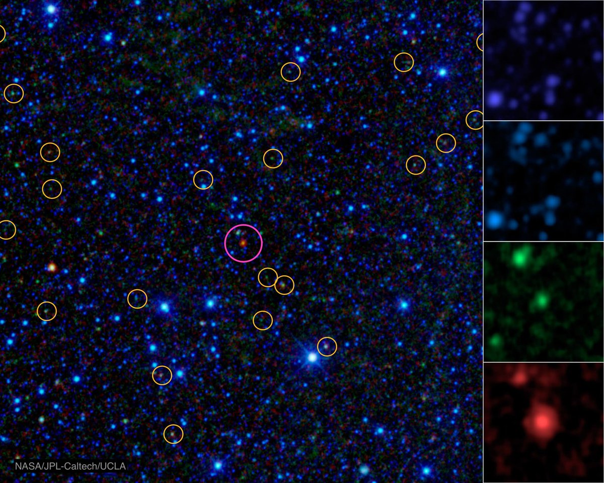 Black Hole (@konstructivizm) on Twitter photo Hot DOGs in Space? Absolutely.
Did you know the early universe had hot DOGs? Not the kind you eat — we're talking about hot, dust-obscured galaxies.
NASA’s retired WISE satellite uncovered about 1,000 of these cosmic beasts, located 10 billion light-years away. Shrouded in Hot DOGs in Space? Absolutely.
Did you know the early universe had hot DOGs? Not the kind you eat — we're talking about hot, dust-obscured galaxies.
NASA’s retired WISE satellite uncovered about 1,000 of these cosmic beasts, located 10 billion light-years away. Shrouded in