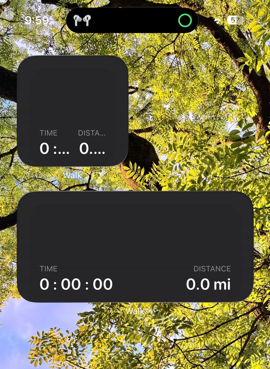 Louisa Gareiss tweet media