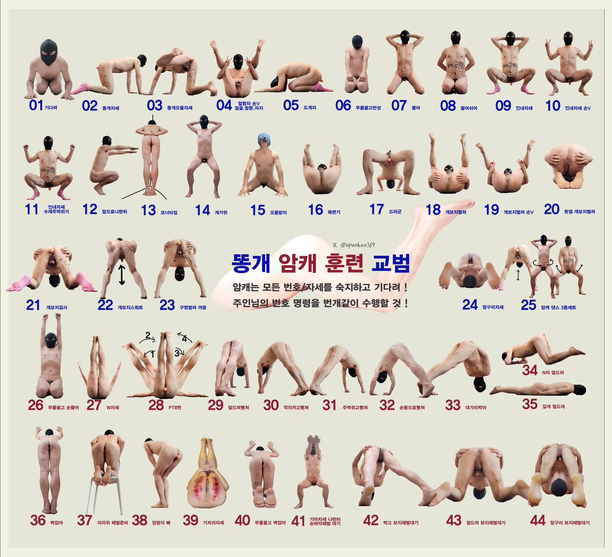 🔒[똥개 암캐 훈련 교범]🔒 

✨ 암캐는 모든 번호/자세를 숙지하고 기다려 !
✨ 주인님의 번호 명령을 즉시 수행할 것 !

[#암캐 기본25자세]와 [#얼차려/#체벌 대기 19자세]를 개보지년이 촬영 편집했습니다 #bitch

🐱 리트윗 좋아요 무한배포 미리 감사드립니다

🐱 사용문의 <a href="/saltdole_danny/">Danny</a>