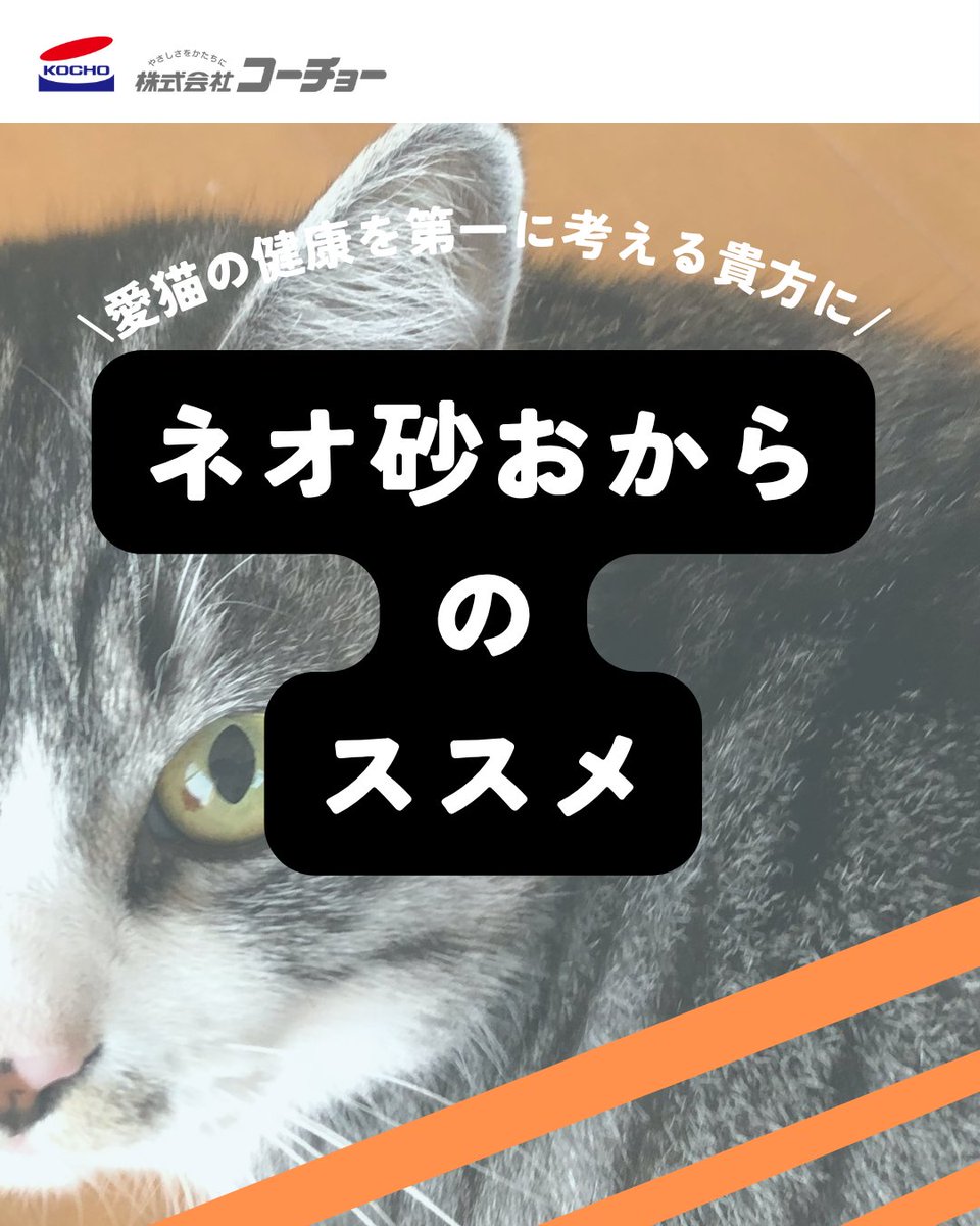 kocho_jp tweet media