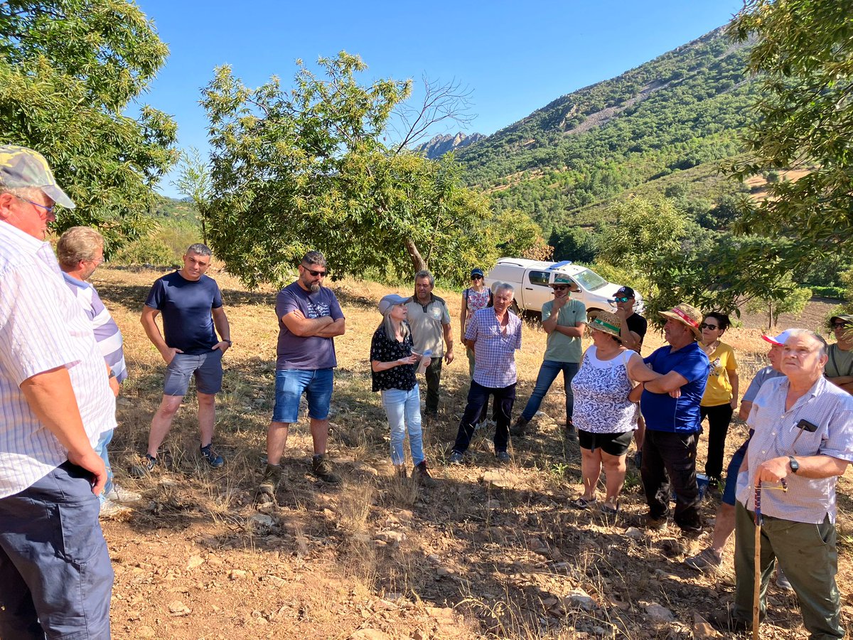 CICYTEX's tweet image. Una de nuestras principales líneas de investigación es la protección vegetal☣️🌱
📆Ayer fue todo un éxito la Jornada de Campo para mostrar soluciones en el manejo integrado de las principales enfermedades del castaño🌰
🧐Conoce un poco más lo q mostramos cicytex.juntaex.es/-/cicytex-orga…