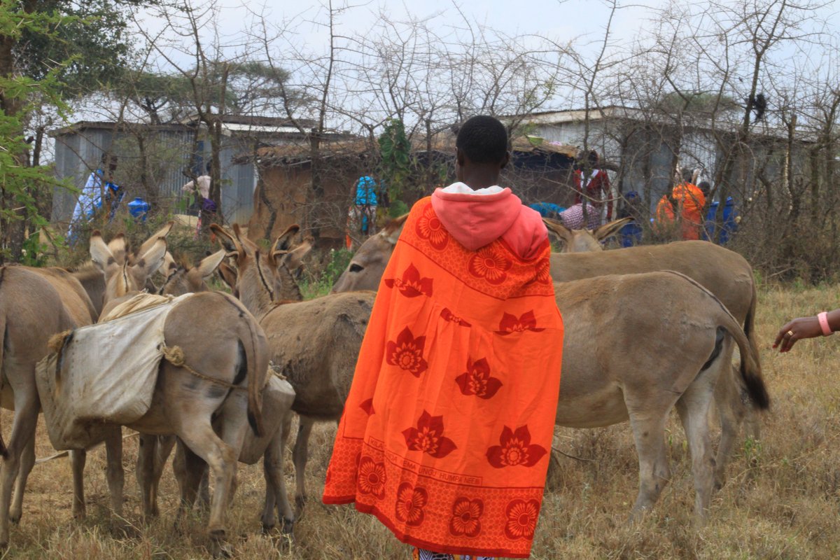 Climate change is drying up water sources, forcing women to walk longer distances—risking health and safety. We must protect water and support those most affected. #ClimateJustice #WaterCrisis #WomenAndClimate