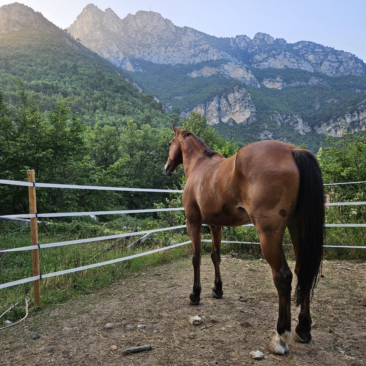 PMdeNice tweet media