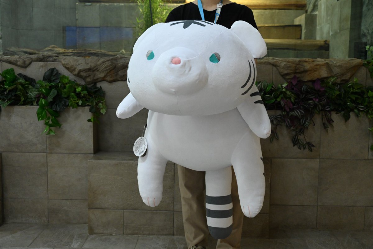 ☆ニフレル10周年記念！30体限定☆ オネムクッションのホワイト