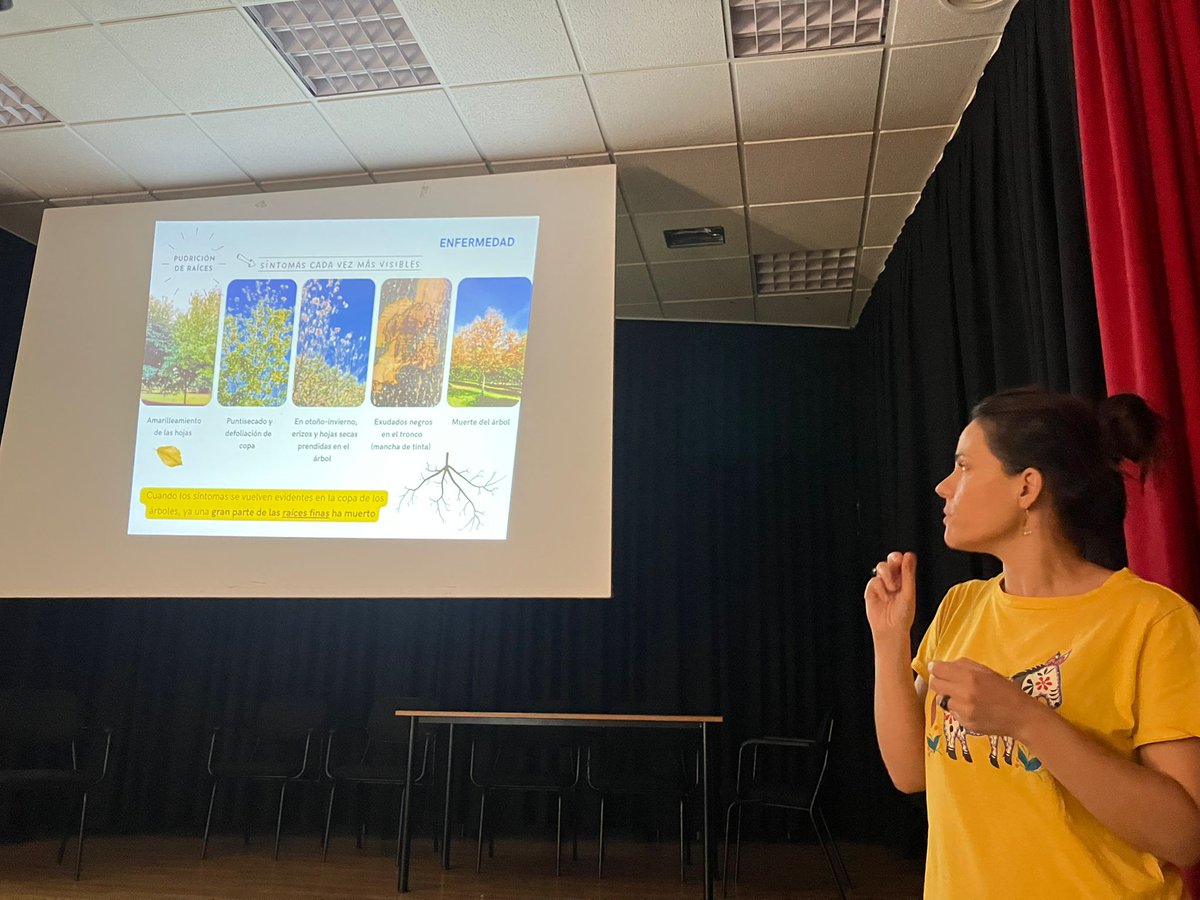 CICYTEX's tweet image. Una de nuestras principales líneas de investigación es la protección vegetal☣️🌱
📆Ayer fue todo un éxito la Jornada de Campo para mostrar soluciones en el manejo integrado de las principales enfermedades del castaño🌰
🧐Conoce un poco más lo q mostramos cicytex.juntaex.es/-/cicytex-orga…