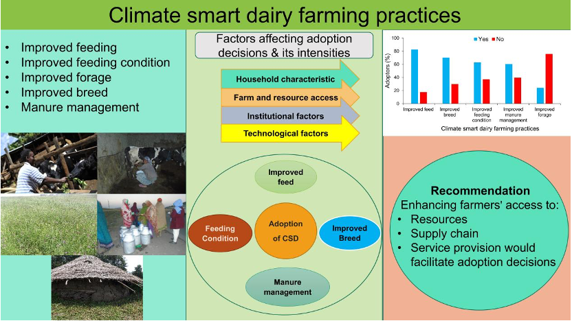 ClimateSA2024's tweet photo. 🚜🌱 New study alert!
"Adoption decisions of climate-smart dairy farming practices"
Focus: Smallholder farmers in Ethiopia's Salale Highlands
Read here 👉 https://t.co/ti7MB3MdcW
#ClimateSmartAg #DairyFarming #Smallholders #Sustainability #Ethiopia https://t.co/8lcJSSxvK3
