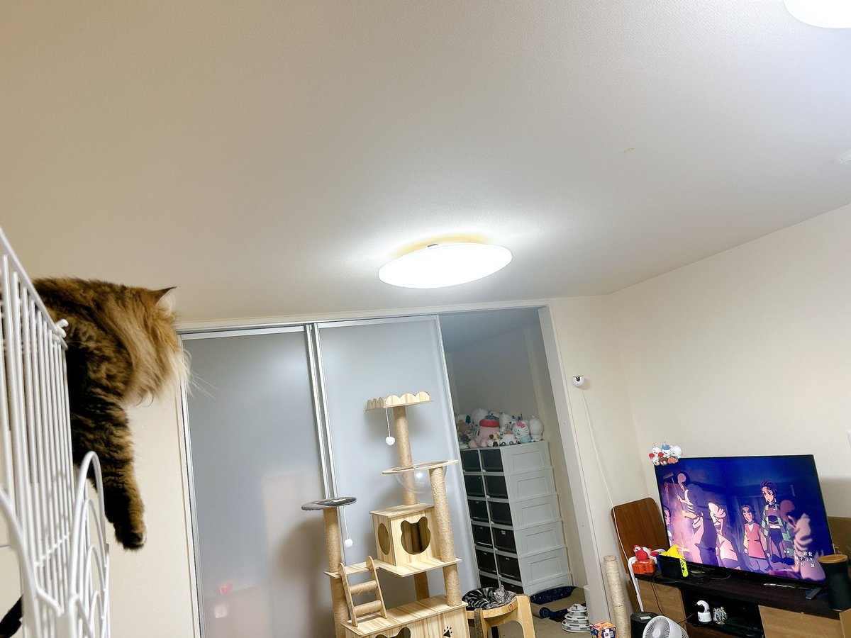 ruuvkuu's tweet image. みあちゃんと一緒に鬼滅鑑賞会
無限城編見に行くために！
まずは刀鍛冶編の続きから見ていきます