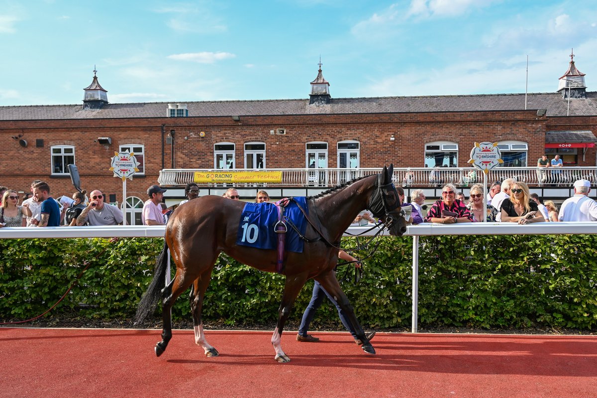 ponteraces's tweet image. Racing this evening at Pontefract π
Day 1 of the @YorkshireRacing Summer Festival π€©
β° Gates open 4.30pm
π First race 6.10pm
π Last race 9pm
π€ Flash: A Tribute to Queen performing after racing
π» Beer Festival
Digital Racecard link: bit.ly/3GQuEKG
π· Hannah Ali