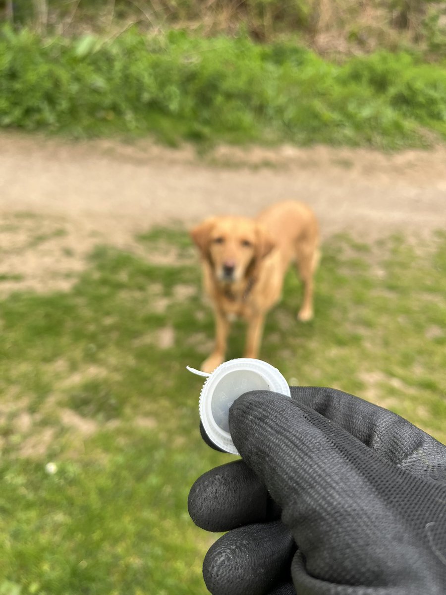 Paws On Plastic #pawsonplastic tweet media